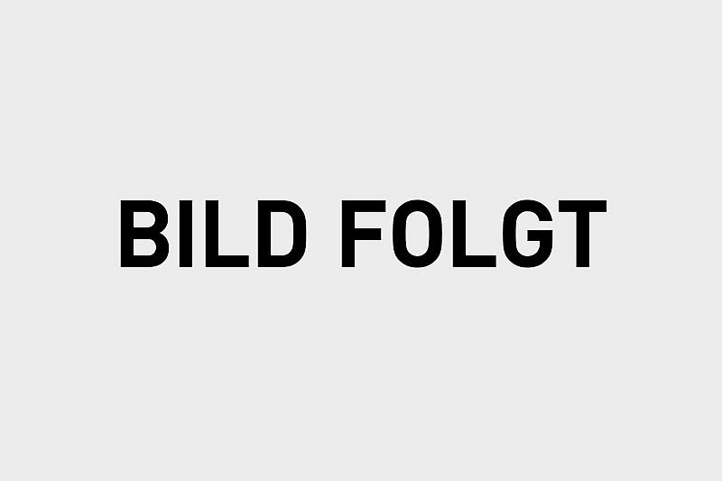 Projektleitung Projektleitung